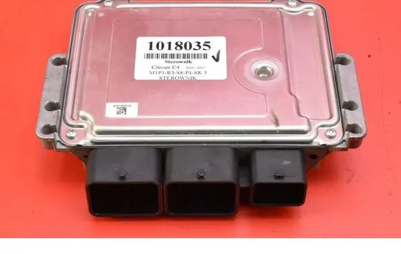 Engine control unit/module ECU