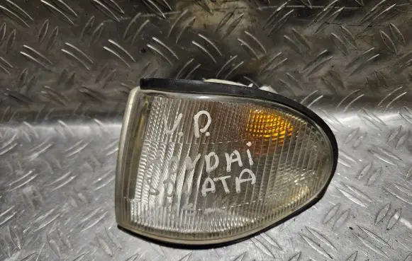 Hyundai Sonata Front indicator light 6R01910