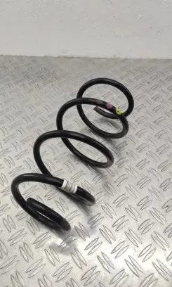 Front coil spring