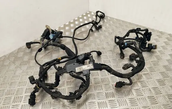 Engine installation wiring loom