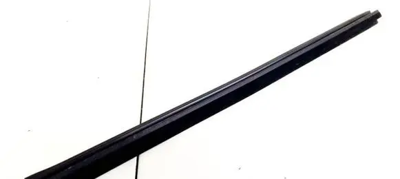 Rear door glass trim molding