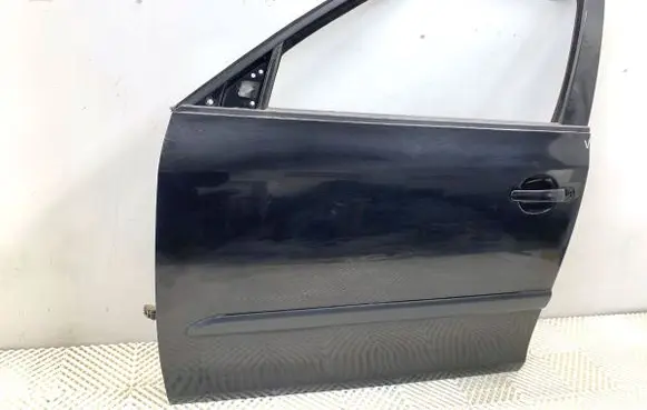 Skoda Fabia Mk1 (6Y) Front door LF9R