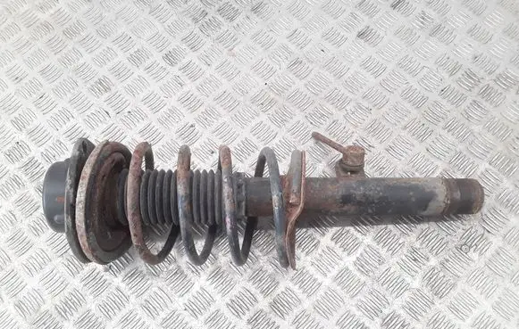 Peugeot 206 Front shock absorber with coil spring