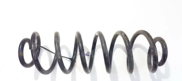 Volkswagen Jetta V Rear coil spring