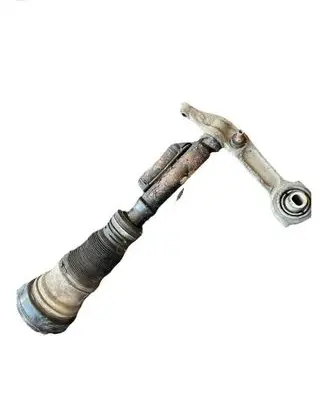 Mercedes-Benz S W220 Air suspension front shock absorber C086053 010202016611
