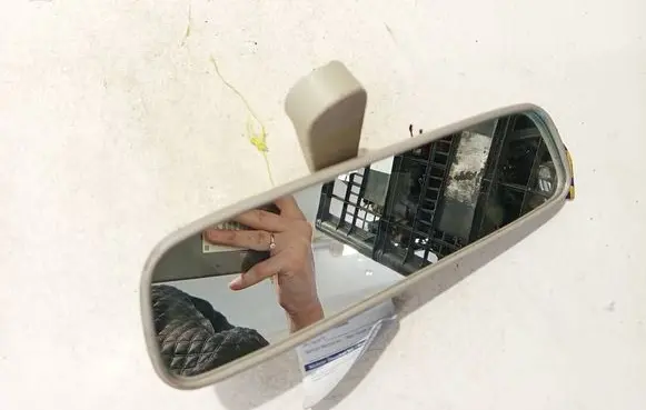 Rear view mirror (interior)
