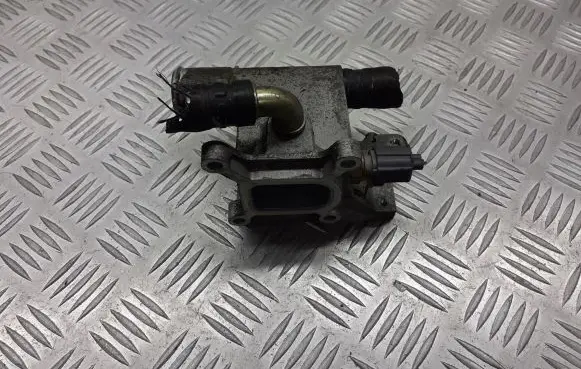 Thermostat/thermostat housing
