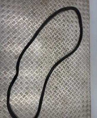 BMW X5 G05 Front door rubber seal 7428678