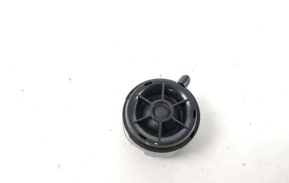 Front door high frequency speaker