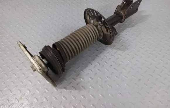 Citroen Jumpy Front shock absorber/damper 9821596780 9813823580