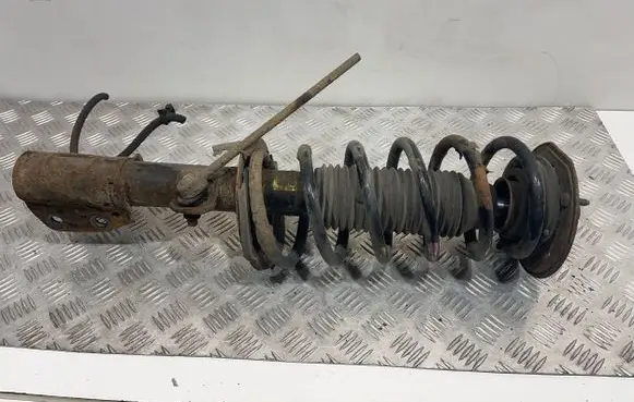 Chevrolet Captiva Front shock absorber/damper