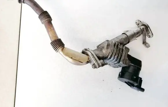 EGR valve
