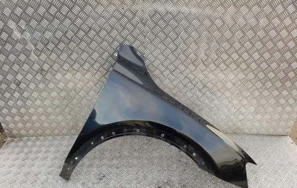 Audi Q3 8U Fender