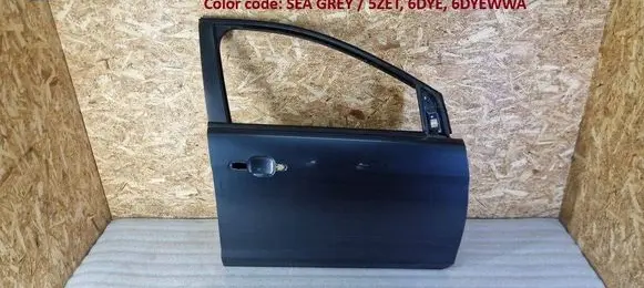 Ford Focus Front door 