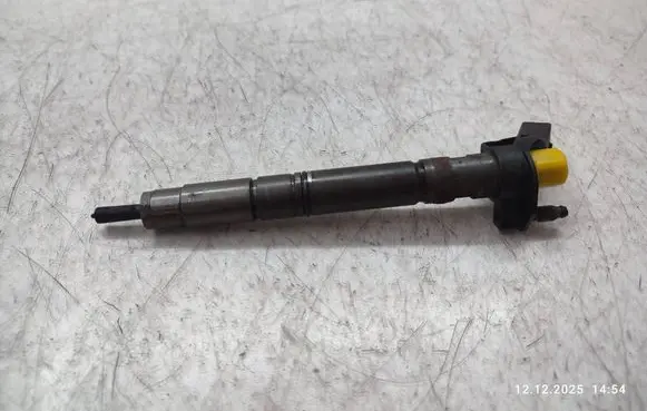 Audi A5 Sportback 8TA Fuel injector 0445117022