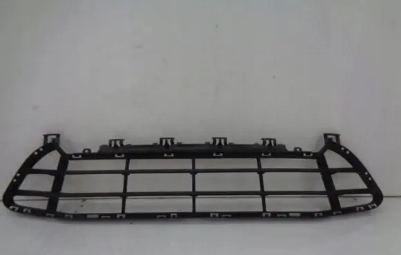 BMW X1 F48 F49 Front bumper lower grill 51117954220