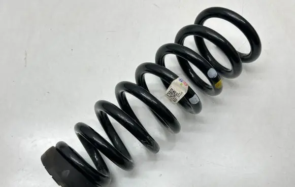 KIA EV6 Rear coil spring 55330G1AD0