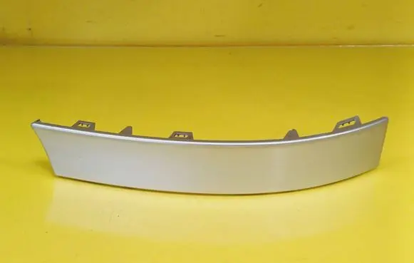 Rear/tail light trim molding