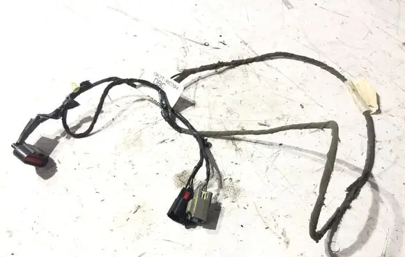Rear door wiring loom