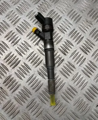 Land Rover Freelander Fuel injector 7789573 0445110130