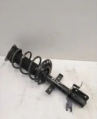 Renault Clio IV Front shock absorber/damper AM5856