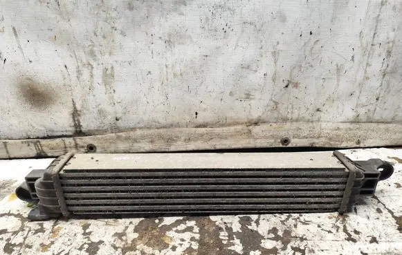 Opel Meriva A Intercooler radiator 52415166