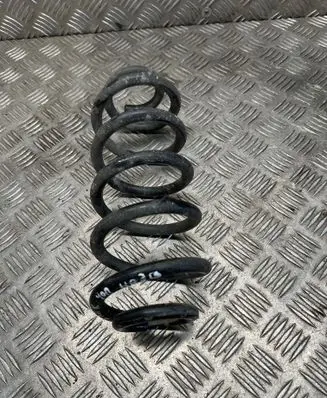 Rear coil spring