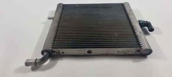 Land Rover Discovery 5 Intercooler radiator FPLA8D048AA 1259514P