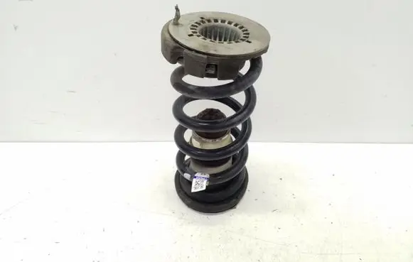 Rear coil spring