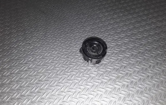 Front door high frequency speaker