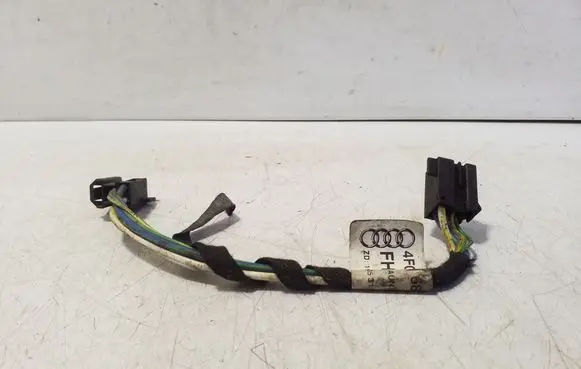 Audi A6 S6 C6 4F Other wiring loom 4F0971687