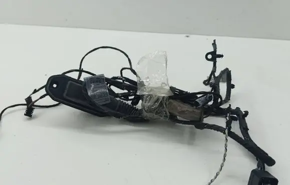 BMW X5 E70 Front door wiring loom 140107 9229847