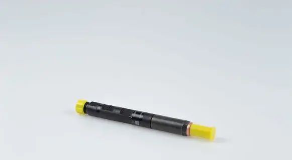 Renault Clio III Fuel injector 28232242
