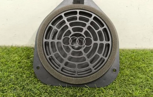 Rear door speaker