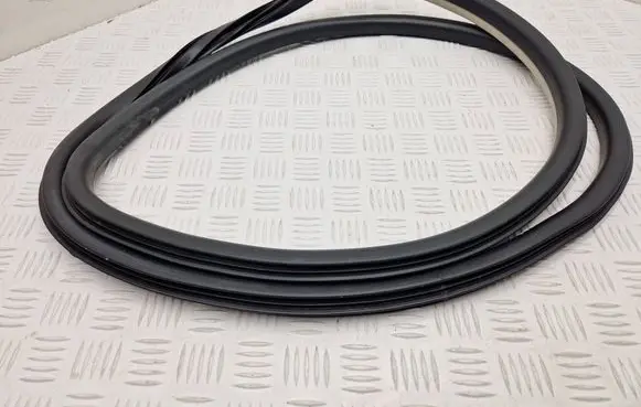 Renault Talisman Front door rubber seal 