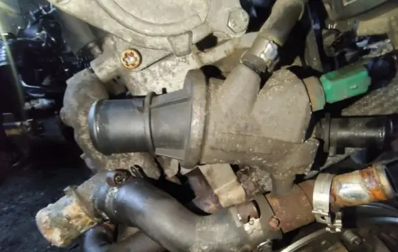 Fiat Idea Engine coolant pipe/hose 55190049