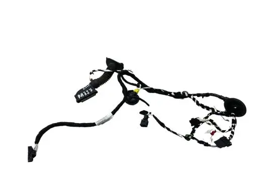 Volkswagen Tiguan Front door wiring loom 5NB971161AQ TAB016297QJ 4L0971841