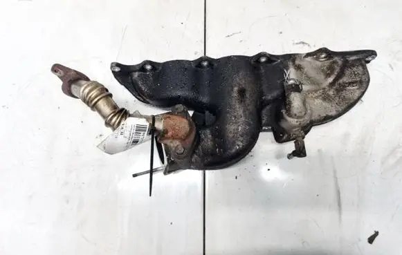Chevrolet Captiva Intake manifold