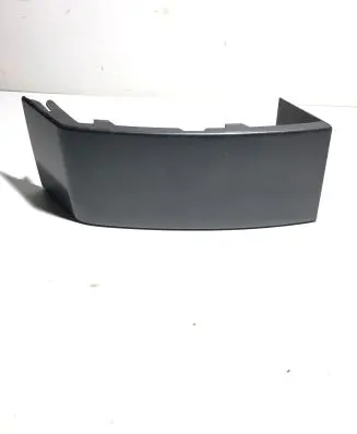 Rear/tail light trim molding