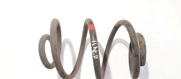 Renault Twingo II Rear coil spring