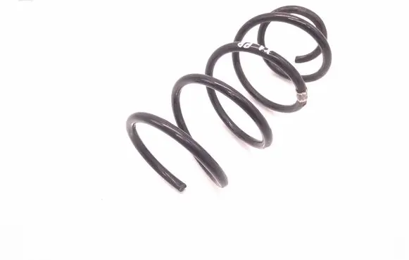 BMW X1 E84 Front coil spring 