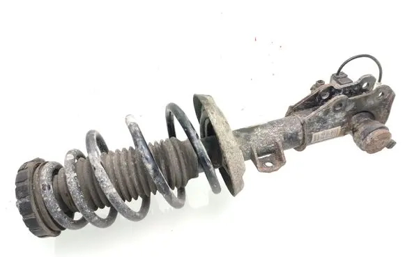 Opel Insignia A Front shock absorber with coil spring 22957285 002455000047