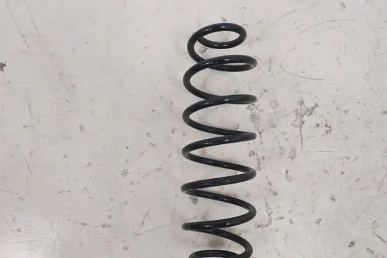 Citroen C4 I Rear coil spring RH6100