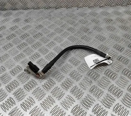 Negative earth cable (battery)