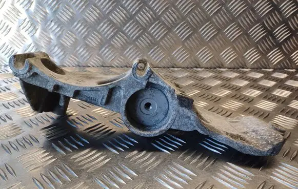 Renault Kangoo II Generator/alternator bracket 8200669494