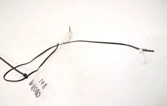 Interior temperature sensor