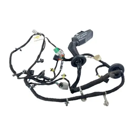 Front door wiring loom