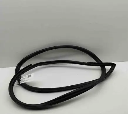 Toyota Hilux (AN120, AN130) Rubber seal rear door 623320K141