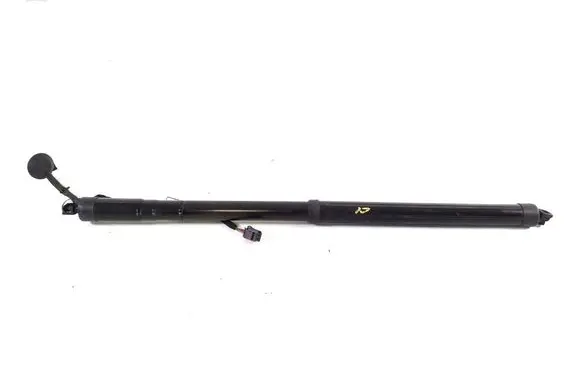 Tailgate strut