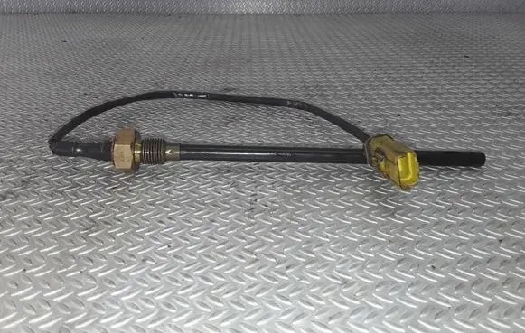 Peugeot 406 Oil level sensor 